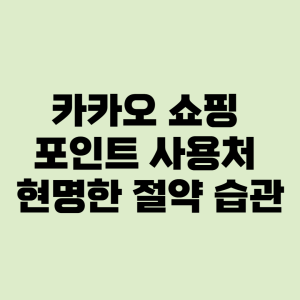 카카오 쇼핑 포인트 사용처
